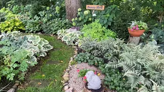 Tour of My Full Shade and Full Sun Gardens Just a Little Walk To See What s Going On in the Garden