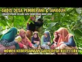 Download Lagu GADIS DESA BULE TURKI, Tangguh dan Pemberani. Manjat Pohon Kelapa Auto GEMETARAN