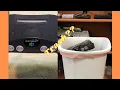 Buying a Nintendo 64 from ebay