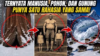 TERNYATA MANUSIA, POHON, DAN GUNUNG MEMILIKI SATU RAHASIA YANG SAMA!