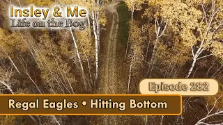 Regal Eagles Hitting Bottom Episode 282