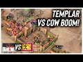 Download Lagu Knights Templar DOMINATES Malian in AoE4!