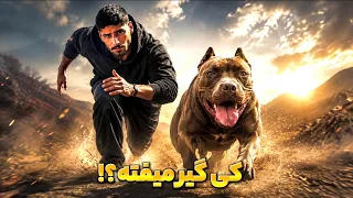 هرکی شل تره ، گیر پیتبول میوفته دندنها