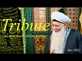 Download Lagu Shaykh Hisham Kabbani Tribute | Qasida Nasamatu Hawak | Mevlan Kurtishi | Shaykh Nazim Al-Haqqani |