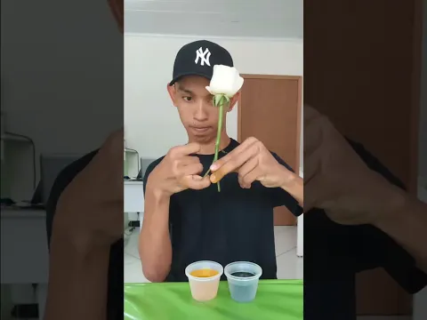 6 de setembro de 2026