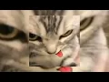 de música ligera - soda stereo (sped up)
