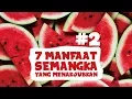Download Lagu Dokter 24 - Manfaat Menakjubkan Semangka Bagi Tubuh Anda -