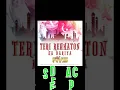 Download Lagu TERI REHMATON KA DARIYA Dj RVS