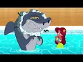 Download Lagu Zig \u0026 Sharko | Onhandige held (Compilatie) Beste tekenfilmverzameling! Nieuwe afleveringen in HD