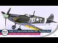 Corgi Supermarine Spitfire Mk V Buckeye-Don