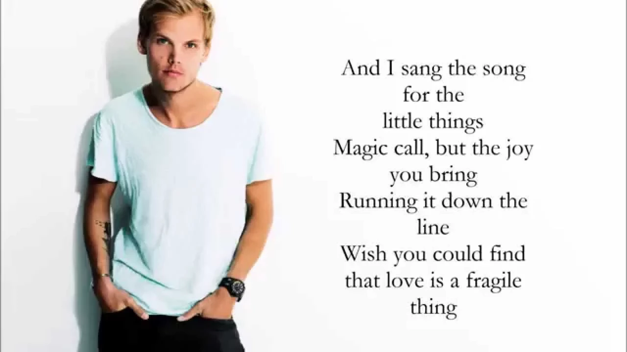 Avicii - For a Better Day (Lyrics / Letra)