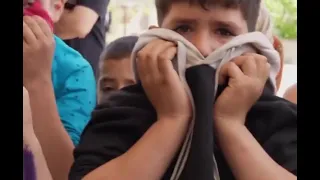 اخبروا المراجع انكم سنة ، سيهبون لمساعدتكم