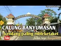 Download Lagu LENGGER CALUNG BANYUMASAN