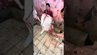 تكسير السوسه العجل كيفيه استخراج سلسلهتعليم الجزاره دندنها