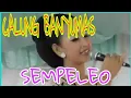 Download Lagu SEMPELEO ( Yelista Budaya ) @happyjavanese7675