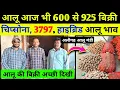 Download Lagu 11 October 2025 🌾 आलू की बिक्री अच्छी जाने आलू का भाव | real farmer education | aalu ka bhav today