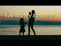 Download Lagu You Are My Sunshine-Christina Perri / D.F lyrics