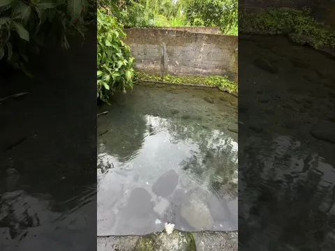 MATA AIR BILOQ BUNTU MONTONG SELAT