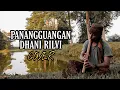 Download Lagu PANANGGUANGAN - ZALMON COVER BY DHANI RILVI