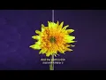 ONE DAY - LMST