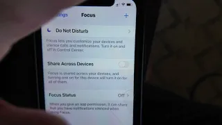 iPhone Bug - User has notifications silenced