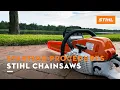 Starting Procedures for STIHL Chain Saws STIHL Tips