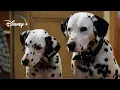 Download Lagu The Puppies get their Collars – 101 Dalmatians (HD Movie Clip)