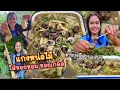 Download Lagu แกงหน่อไม้ ใส่หอยหอมซดน้ำนัว แกล้มผักแว่นแซ่บหลายจ้า