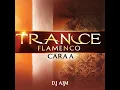 Dj Ajm - Trance Flamenco (CARA A)| Melancholic Spanish Guitar |Techno House|Electronic Dance  Music|