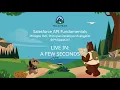 Salesforce API Fundamentals