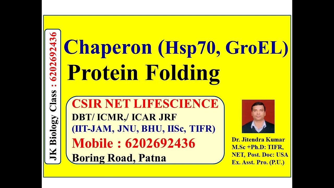 Chaperone & Protein folding: Hsp70, GroEL