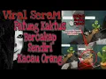Lagu 🔴Viral Tiktok!! Patung kaktus bercakap sendiri kacau pemiliknya