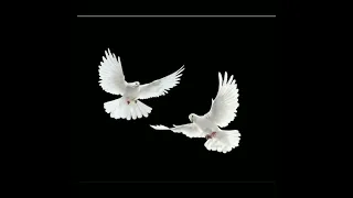 على طرف جناحك ياحمام هاربطلك مكتوبى واملاه اشواق وسلام وصلها لمحبوبى 