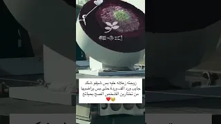 زوجتة زعلانه عليه بس شوفو شكد جايب ورد الف وردة حتى يراضيها من تختارين الشخص الصح بحياتج هاي النتيجة 