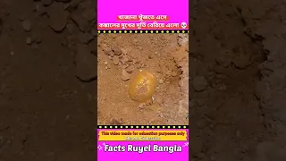 খাজানা খুঁজতে এসে । কঙ্কালের মুখের মূর্তি বেরিয়ে এলো 💀 #shorts #viral #ytshorts #youtubeshorts