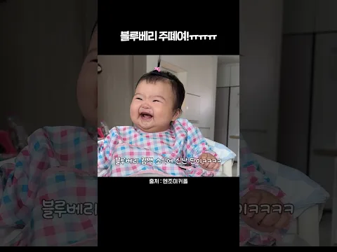 아기새의 블루베리 먹방 #강단남매