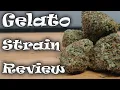 Gelato Cannabis Strain Review
