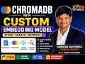 ChromaDB with Custom Embedding Model Store Search Your Own Embeddings Python Tutorial