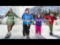 Discover Banff Tours Wildlife Sightseeing in Banff National Park Lake Louise