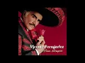 Vicente Fernández - Un Millón De Primaveras (Cover Audio)