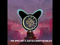 Download Lagu THE SPECTRE X AISYAH BERSYUKURLAH