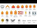 Every Rank in the US Marines Explained in 15 Minutes