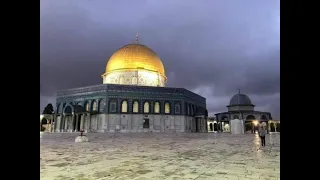 الشخ الطبلاو ي الانعام الاردن 