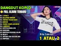 Download Lagu Dike Sabrina || 1 ATAU 2-  SALAHMU SENDIRI || Dangdut Koplo Terbaru 2025 || Full Album