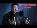 Download Lagu Can't Help Falling in Love (E.Resonance Version)