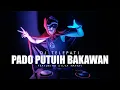 Download Lagu DJ MINANG TERBARU - PADO PUTUIH BAKAWAN - DJ TELEPATI FEAT SILVA HAYATI