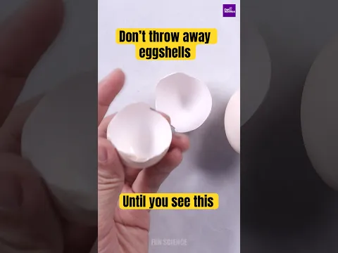 Don’t Throw Away Eggshells Until You See This!