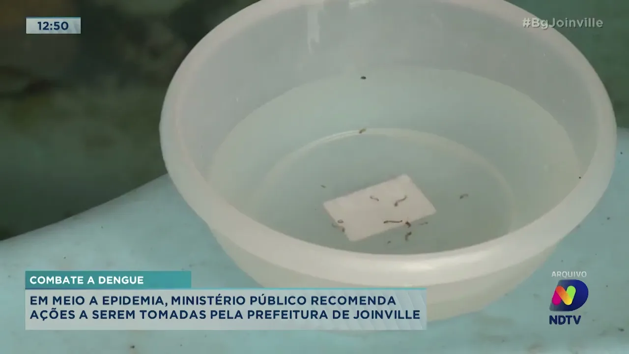 Combate a dengue: em meio a epidemia, Ministério Público recomenda ações a serem tomadas