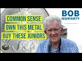 1 Hour of Common Sense on Politics Precious Metals and Mining Stocks - Bob Moriarty