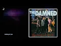 Looking at You by The Damned
